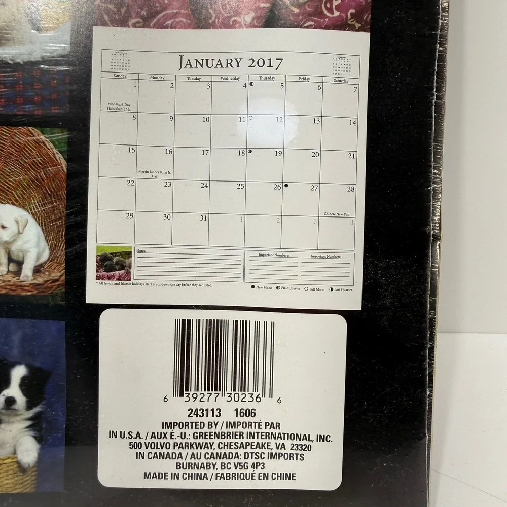 Greenbrier International Puppies 2017 12 Month Wall Calendar 243113 Dog Photos